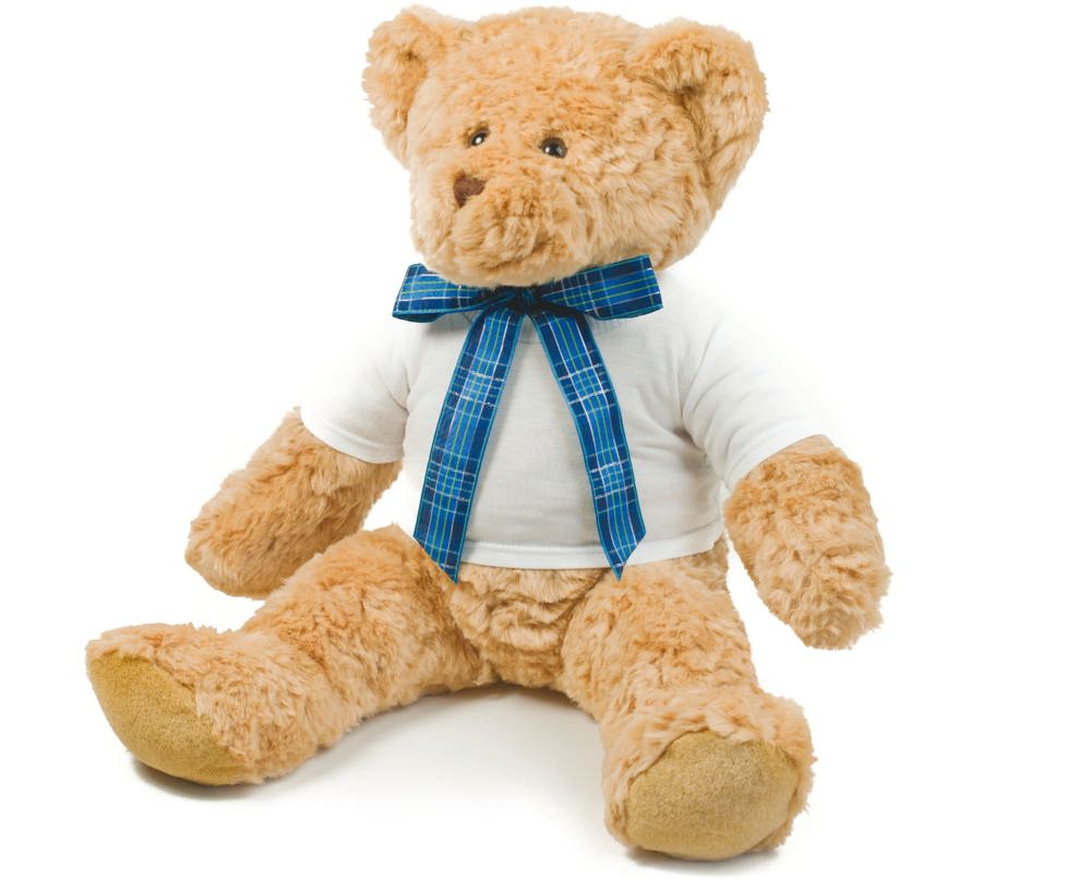 MM71 - Teddy T-shirt